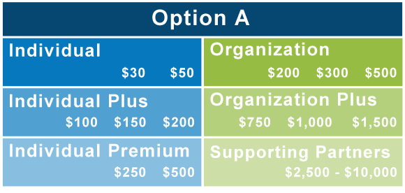 Option A: Individual ($30, $50); Individual Plus ($100, $150, $200); Individual Premium ($250, $500); Organization ($200, $300, $500); Organization Plus ($750, $1,000, $1,500); Supporting Partners ($2,500-$10,000)